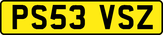 PS53VSZ
