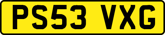 PS53VXG