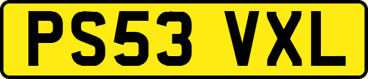 PS53VXL