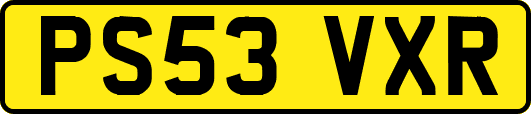 PS53VXR