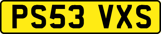 PS53VXS