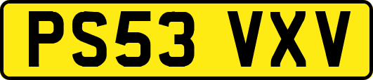 PS53VXV