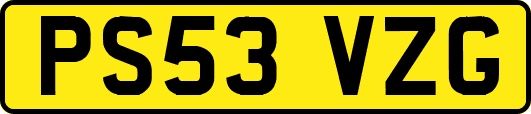 PS53VZG