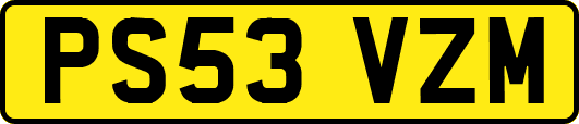 PS53VZM