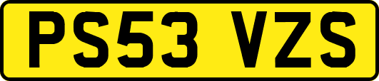 PS53VZS