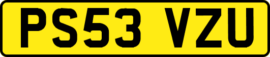 PS53VZU