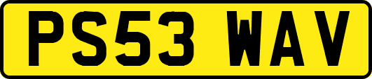 PS53WAV