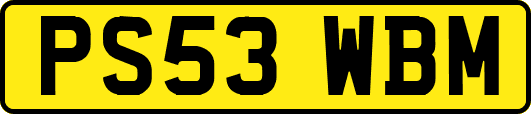PS53WBM