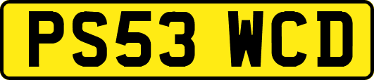 PS53WCD