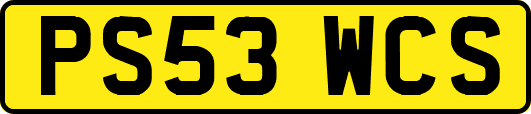 PS53WCS