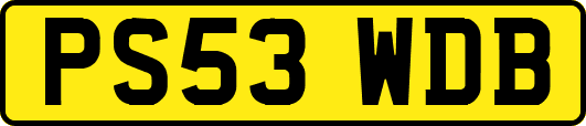 PS53WDB