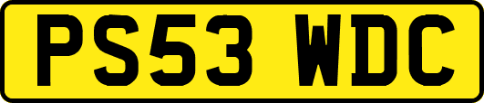PS53WDC