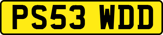 PS53WDD
