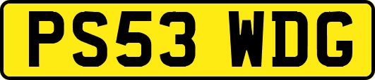 PS53WDG