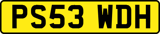 PS53WDH