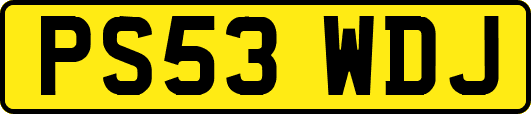 PS53WDJ