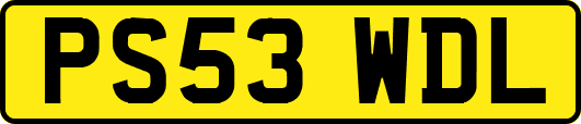 PS53WDL