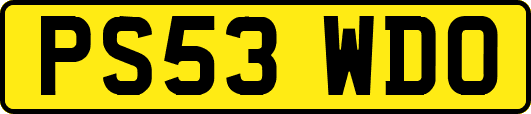 PS53WDO