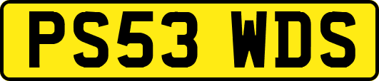 PS53WDS