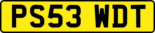 PS53WDT