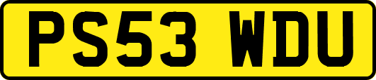 PS53WDU