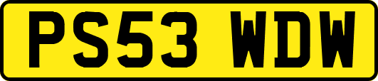 PS53WDW