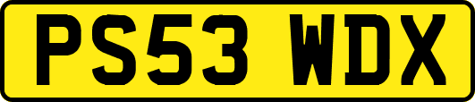 PS53WDX