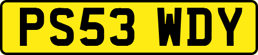 PS53WDY