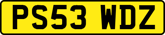 PS53WDZ