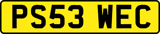 PS53WEC