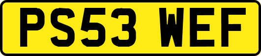 PS53WEF