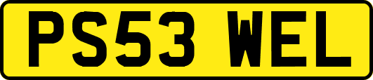 PS53WEL
