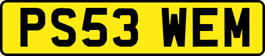 PS53WEM