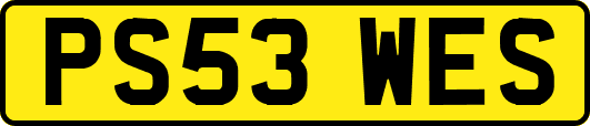 PS53WES