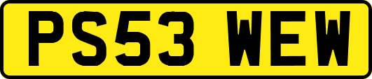 PS53WEW