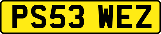 PS53WEZ