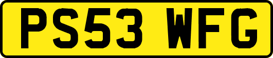 PS53WFG