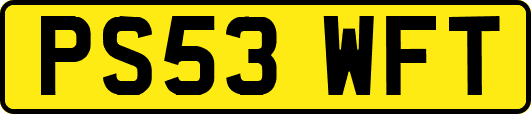PS53WFT