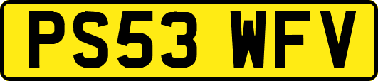 PS53WFV