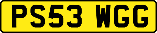 PS53WGG