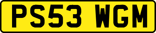 PS53WGM