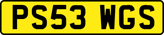 PS53WGS