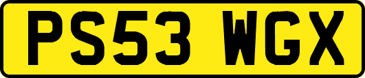 PS53WGX