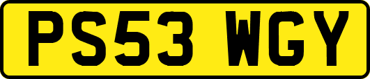 PS53WGY