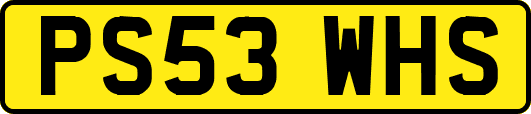 PS53WHS