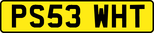 PS53WHT