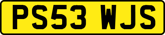 PS53WJS