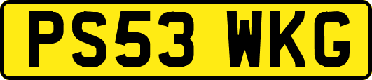 PS53WKG