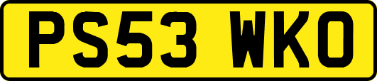 PS53WKO