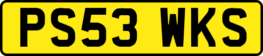 PS53WKS